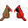 Leetle Cardinal Pair