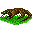 Leetle Komodo Dragon
