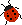 Leetle Ladybird
